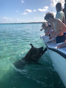 Family visiting Pig Beach in the Bahamas
